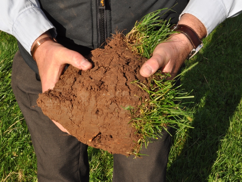 Soil compaction linked to dairy herd fertility