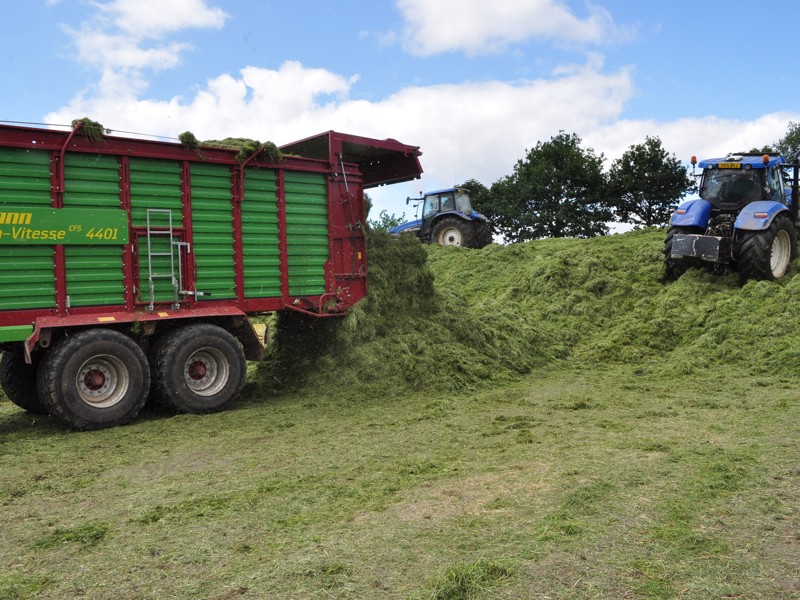 Contractor’s forage wagon fits the bill for multi-cut silage systems 
