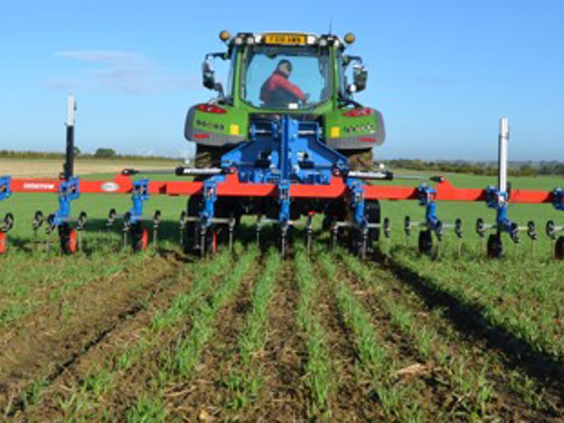 Chemical-free precision weed control