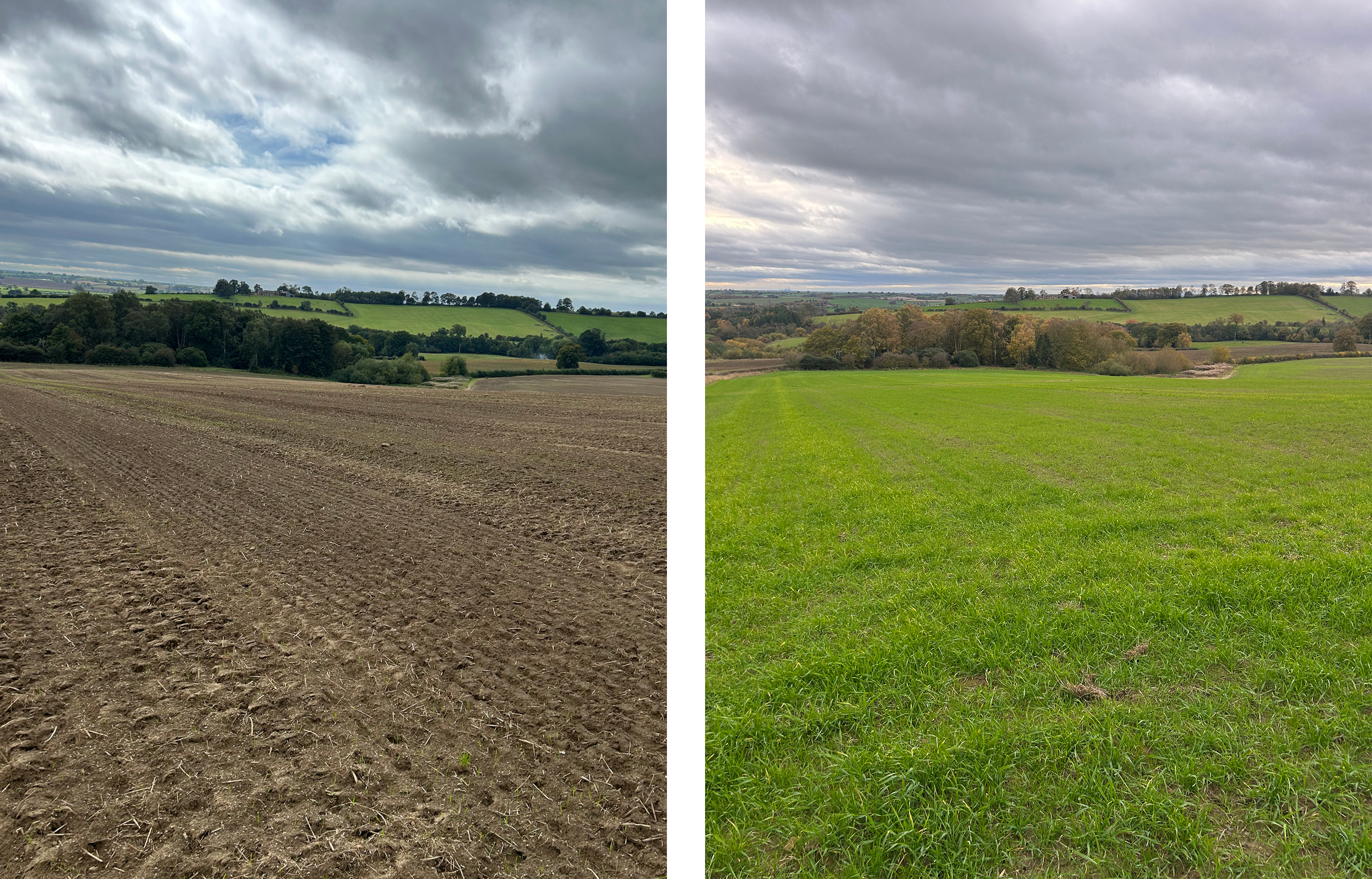 Before and after photos of field seeded with the Alpego INVERSA and seeder.