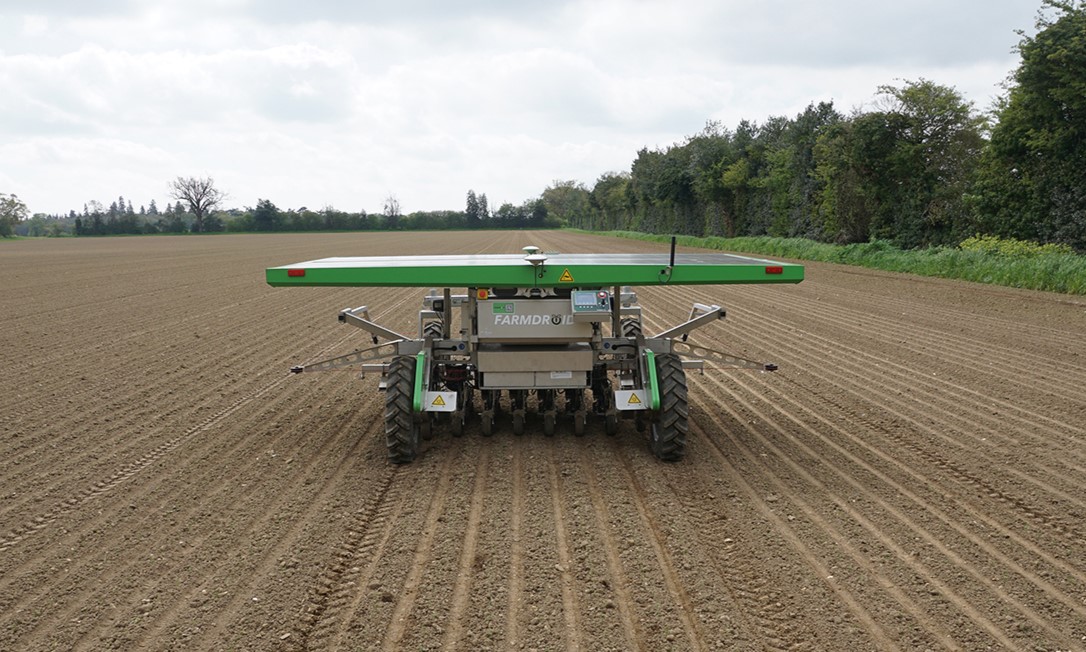 Rear view of four-wheeled FarmDroid FD20 weeding organic onions in the UK